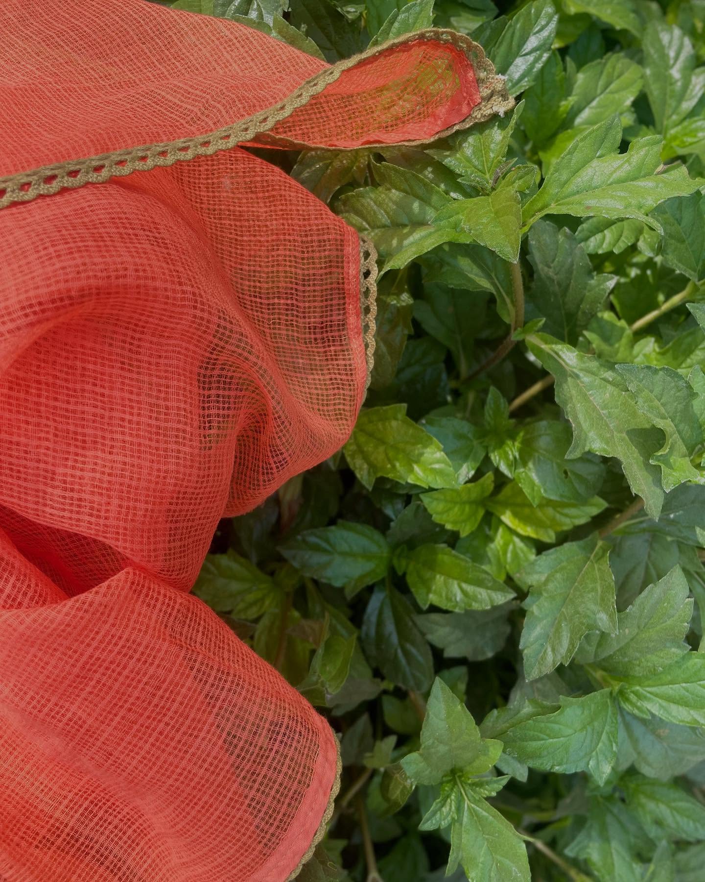 Handcrafted Cotton Set with Contrasting Prints & Kota Dupatta