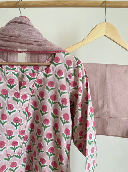 Preya series V Dusty blue/Pink